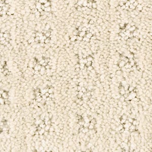 8 in. x 8 in. Texture Carpet Sample - Canter -Color Atrium