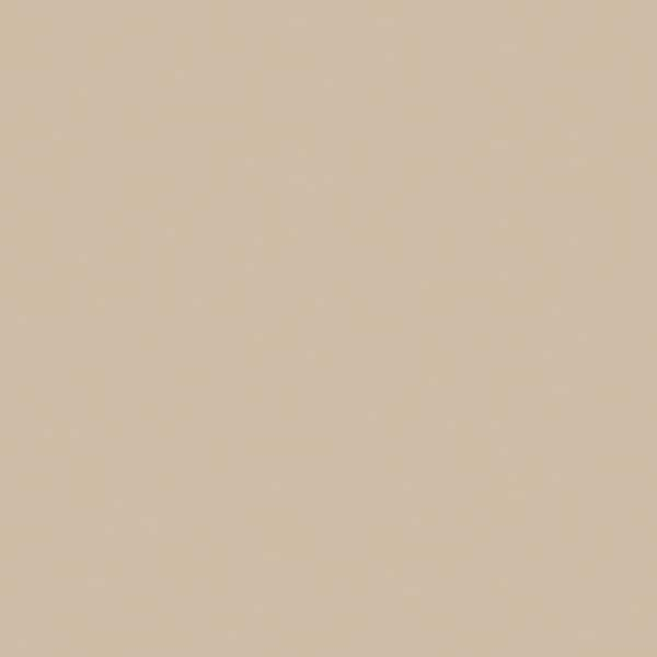 Wilsonart 4 ft. x 12 ft. Laminate Sheet in Beige with Matte Finish