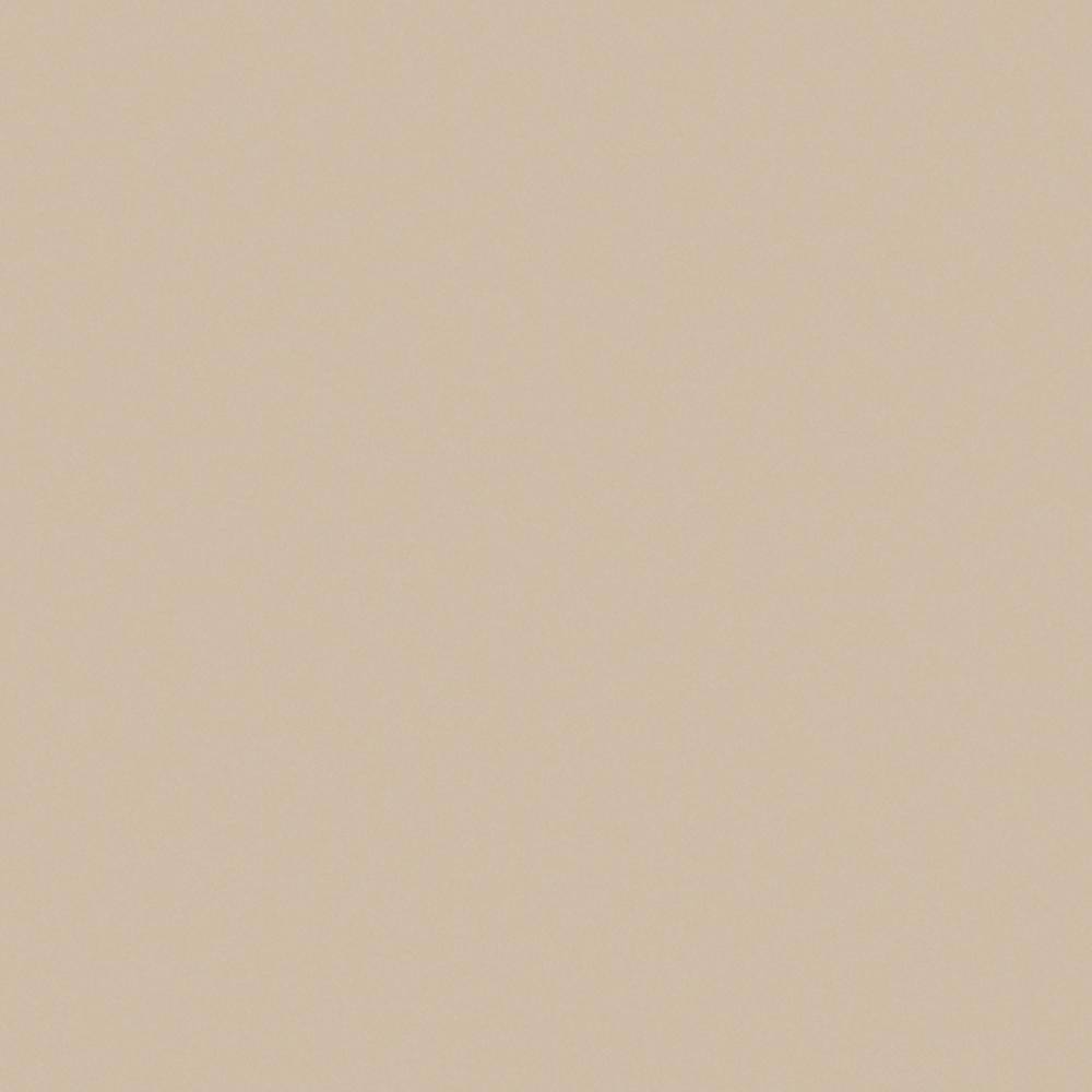 5 ft. x 12 ft. Laminate Sheet in Beige with Matte Finish price history on PriceWatchPro