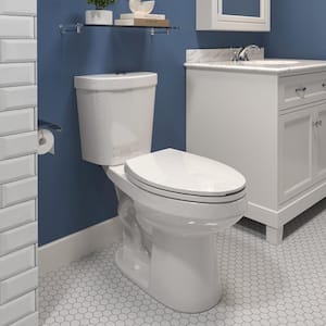 2-piece 1.28 GPF Dual Flush 17 in. ADA Chair Height Elongated Toilet Map Flush 1000g, Soft-Close Seat Included