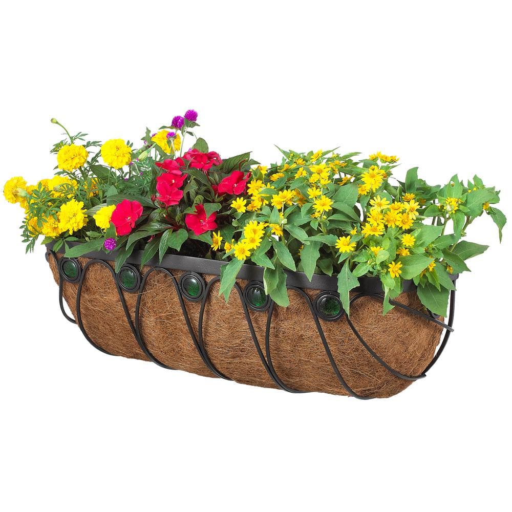 Emerald 36-Inch Black Metal and Coconut Wall Planter