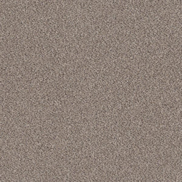 Home Decorators Collection Columbus II - London Fog - Gray 74.9 oz. SD Polyester Texture Installed Carpet