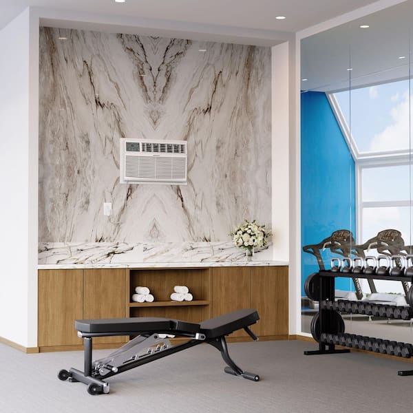 DURASTAR - 12,000 BTU 230-Volt Through-the-Wall Air Conditioner Cools 550 sq. Ft. with remote in White