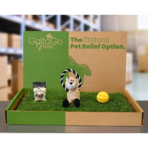 Gotta Go Grass Potty Pad with Tray + Treat + Toy Ball + Squeaky Toy