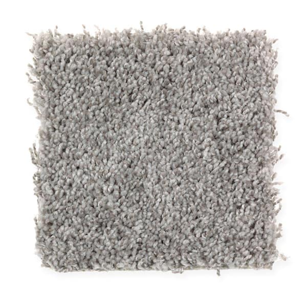 Home Decorators Collection Top Gear II - Overcast - Brown 40 oz. Polyester Texture Installed Carpet