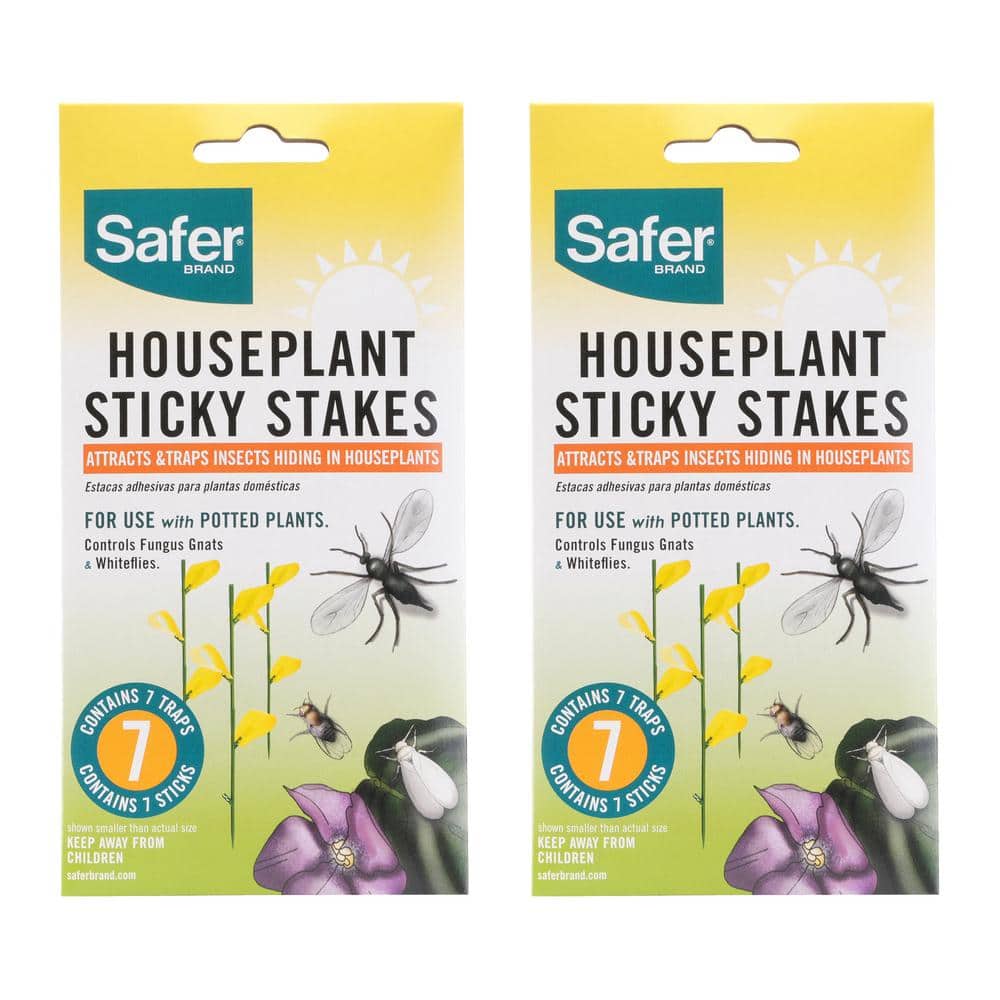Safer Brand Safer Home Indoor Flying Insect Trap Refill (3 Sticky