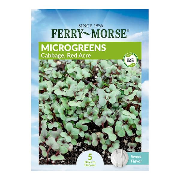 Ferry-Morse Cabbage Red Acre Micro-greens Vegetable Seeds
