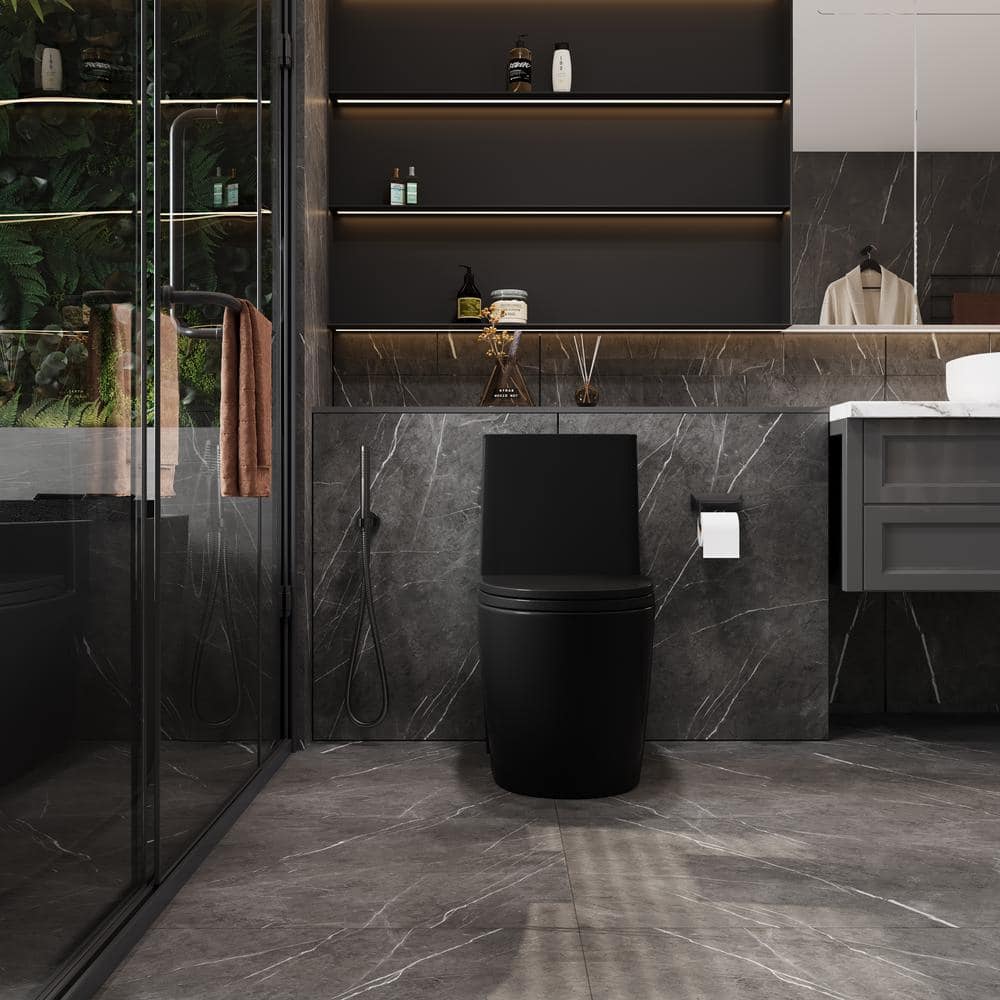 Matte Black Ceramic Dual Flush Elongated One-Piece Toilet