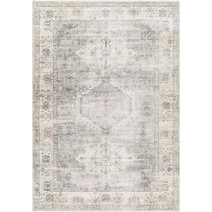 Erin 2 ft. x 3 ft. Cream/Gray Oriental Indoor Area Rug