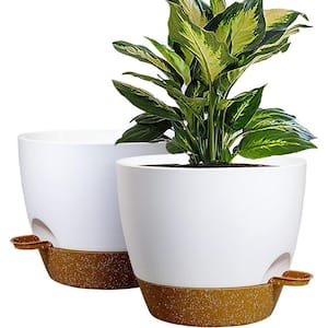 Modern 10 in. L x 10 in. W x 7.3 in. H White with Terracota Plastic Round Indoor Planter (2-Pack)