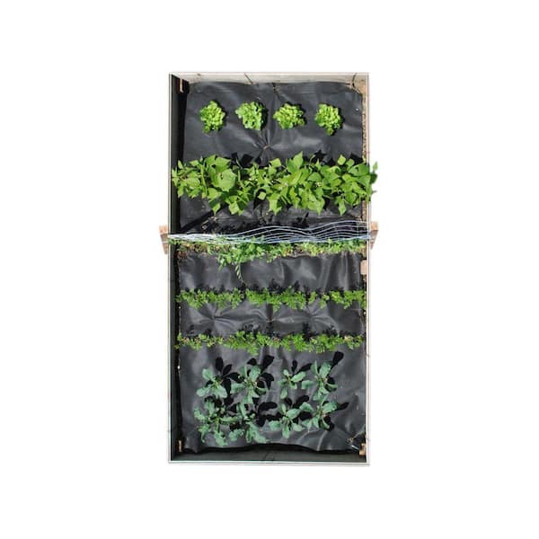 Seedsheet 48 in. x 96 in. Mixed Veggie Kit with Lettuce, Beans, Peas, Carrots and Kale