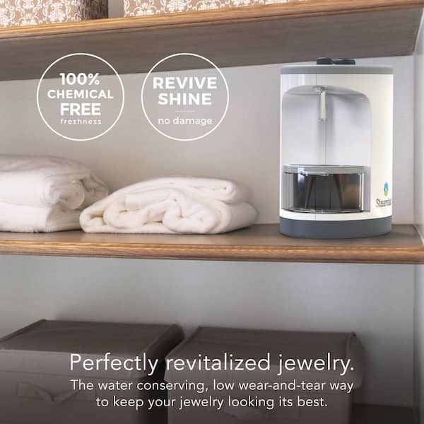 STEAMFAST JULE Steam Jewelry Cleaner SF-1000 - The Home Depot