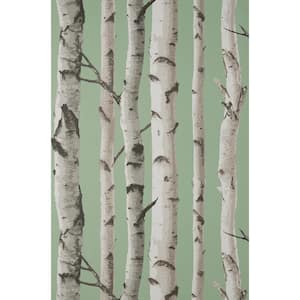 Chester Sage Birch Trees Matte Non-pasted Paper Wallpaper