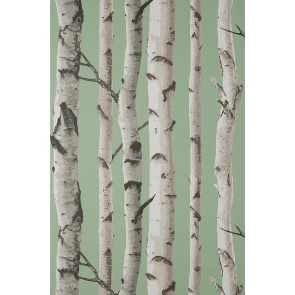 Fine Decor Chester Sage Green Birch Trees Wallpaper Sample