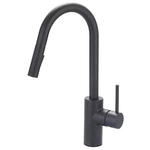 Motegi Single-Handle Pull-Down Sprayer Kitchen Faucet in Matte Black