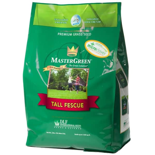 MasterGreen 3 lb. Tall Fescue Grass Seed with Micro Clover