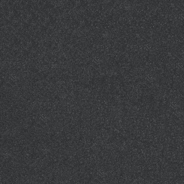 Lifeproof Blakely I - Basalt-Gray 15 ft. 37 oz. High Performance Polyester Texture Installed Carpet