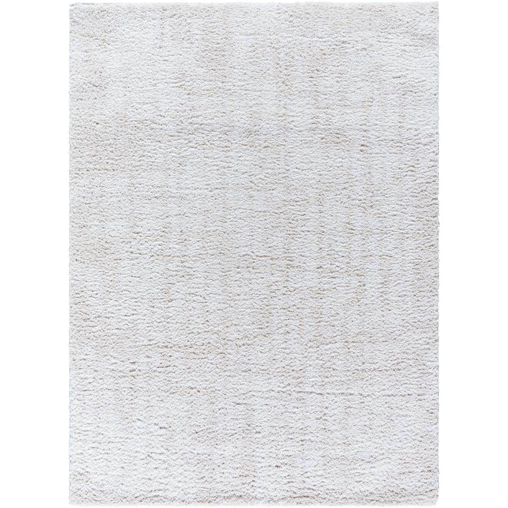 Sacramento Shag White/Beige Modern 5 ft. x 7 ft. Indoor Area Rug price history on PriceWatchPro