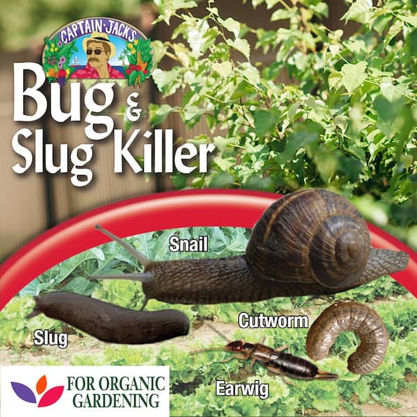 Bonide Captain Jack's Bug and Slug Killer Granules, 1.5 lb. Long Lasting  Protection, For Organic Gardening, Safe for Pets 908 - The Home Depot