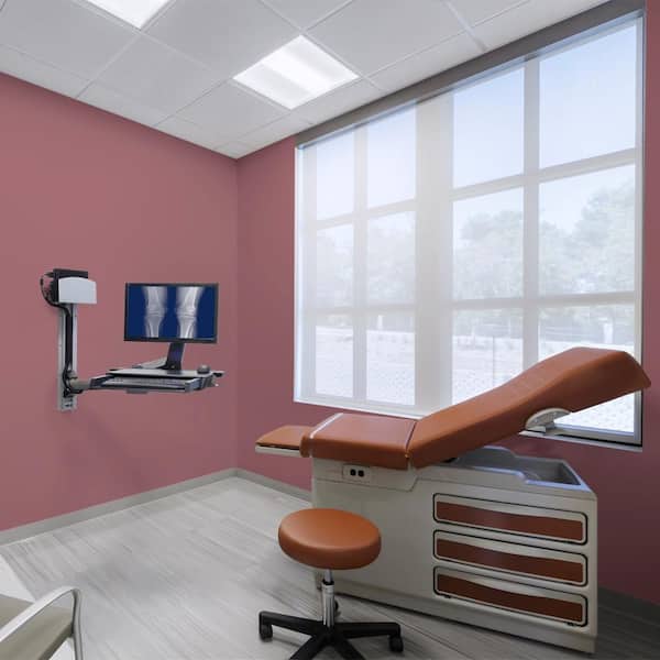 5 gal. #HDC-CL-02 Fine Burgundy Dead Flat Interior Paint