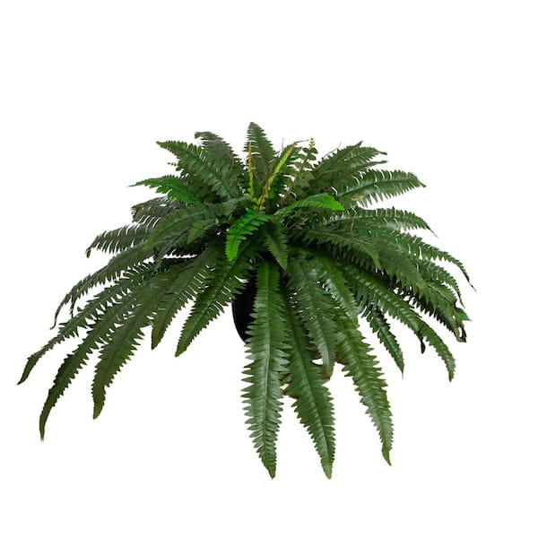 32 in. Artificial Self-Shaped Boston Fern Plant in Black Planter