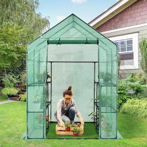 56 in. L x 56 in. W x 77 in. H Walk-in Greenhouse Gardening with Observation Windows for Patio Lawn Yard, Green