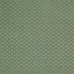 Transcends Time Lucky Clover Green 39 oz. Triexta Pattern Installed Carpet