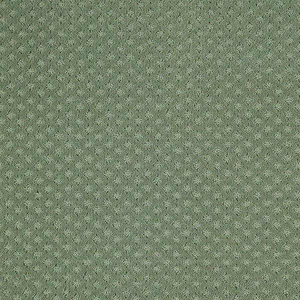 Lifeproof with Petproof Technology Transcends Time Lucky Clover Green 39 oz. Triexta Pattern Installed Carpet