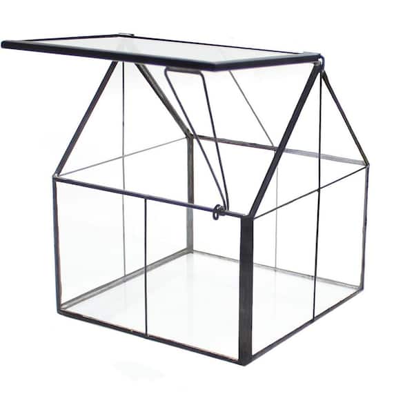 Mini Glass Geometric Terrarium