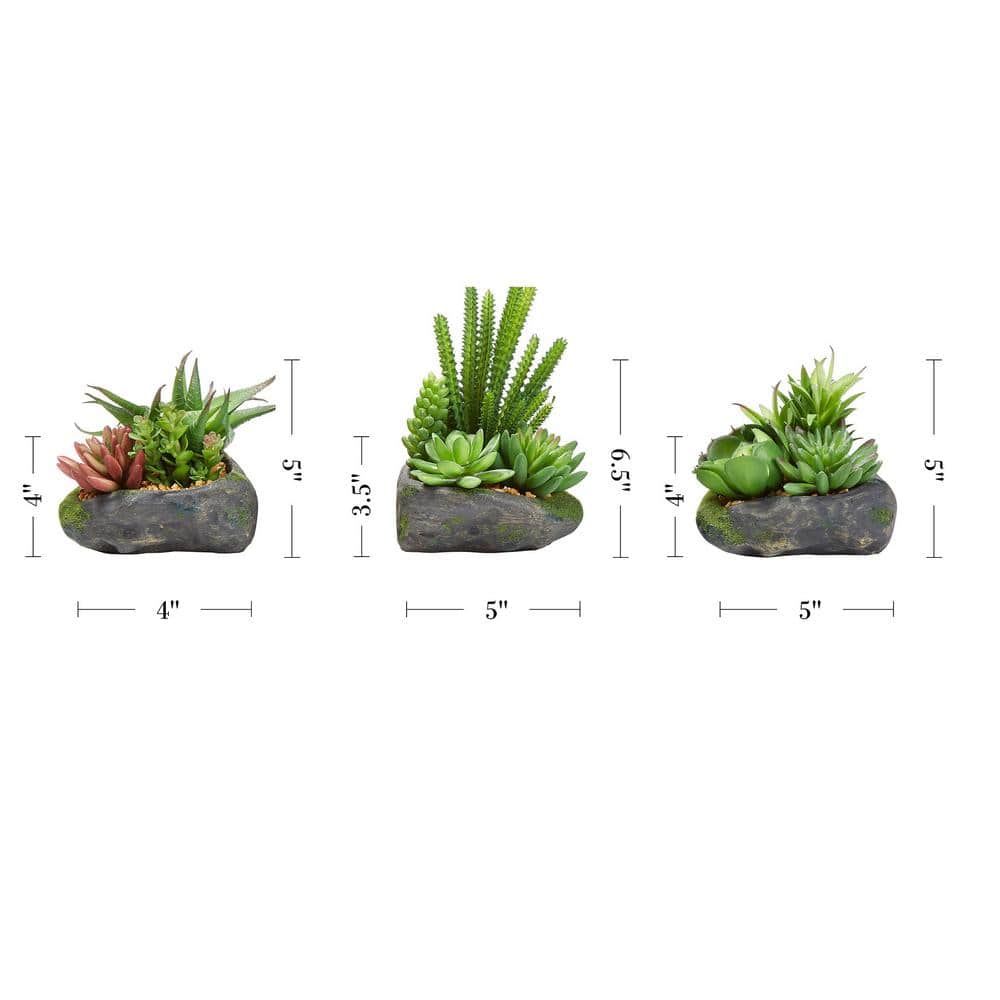 Set of 3 Artificial Succulent Plants in Faux Stone Pots