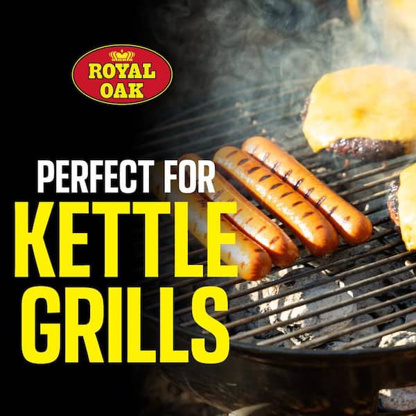Royal Oak Minit Lite 6.2 lb. Instant Charcoal Briquets 800002821