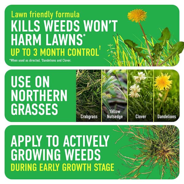 For Lawns1 Ready-To-Use with Extended Wand, 1 gal., Tough Weed Killer for Use on Northern Grasses