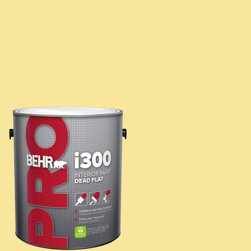 1 gal. #P310-4 Storm Lightning Dead Flat Interior Paint price history on PriceWatchPro