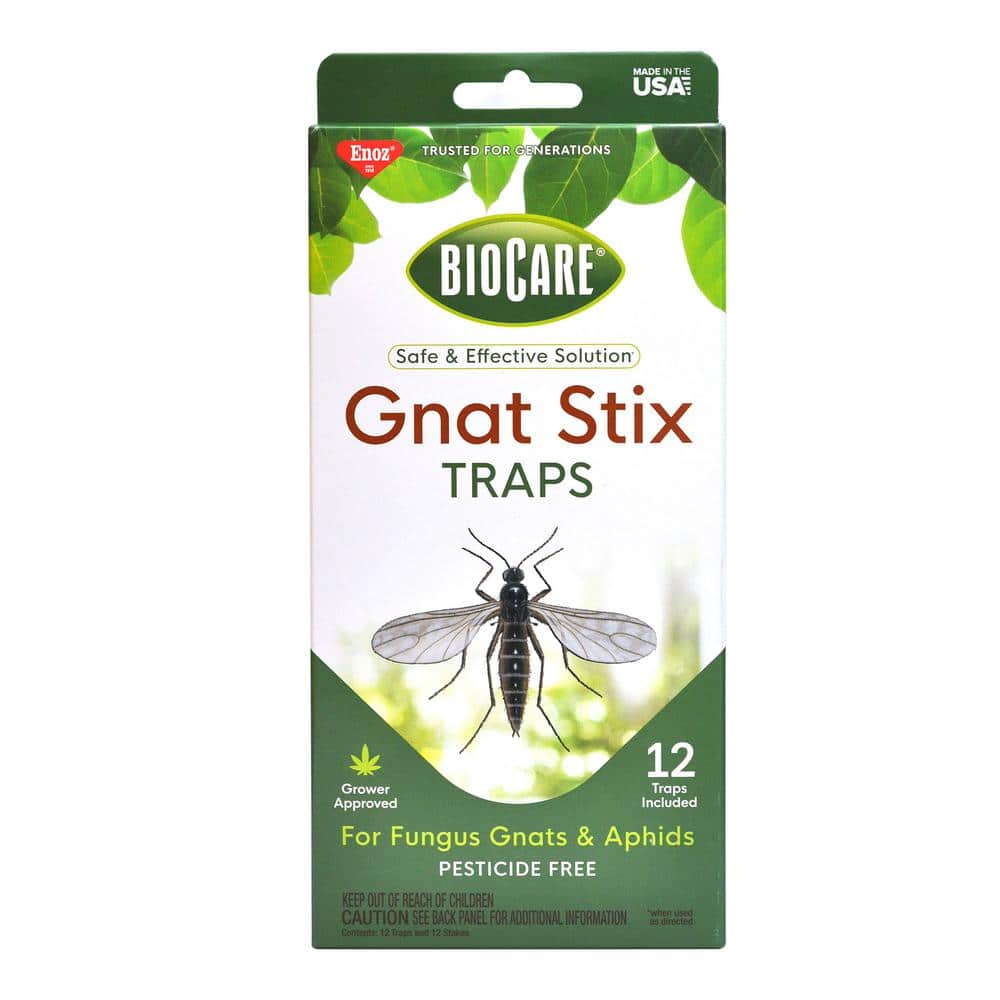 Sticky Fruit Fly and Gnat Trap Yellow Sticky Bug Traps for Indoor/Outdoor  Use, Insect Catcher for White Flies, Mosquitos, Fungus Gnats, Flying  Insects, Disposable Glue Trappers 