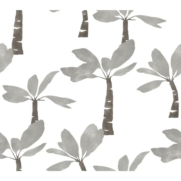Grey Painted Oasis Carbon and Graphite Wallpaper