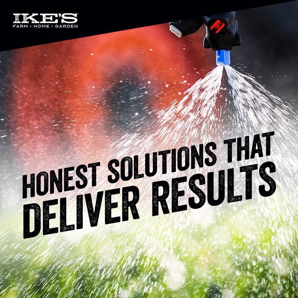 Ike's 32 oz. Concentrated Liquid Spray Tank Cleaner