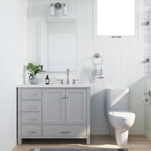 Cambridge 42 in. W Vanity Cabinet Only in Grey