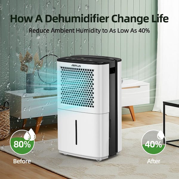 Edendirect 38 pt. 2000 sq. ft. Portable Dehumidifier in