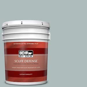 5 gal. Home Decorators Collection #HDC-CT-26 Watery Extra-Durable Flat Interior Paint & Primer