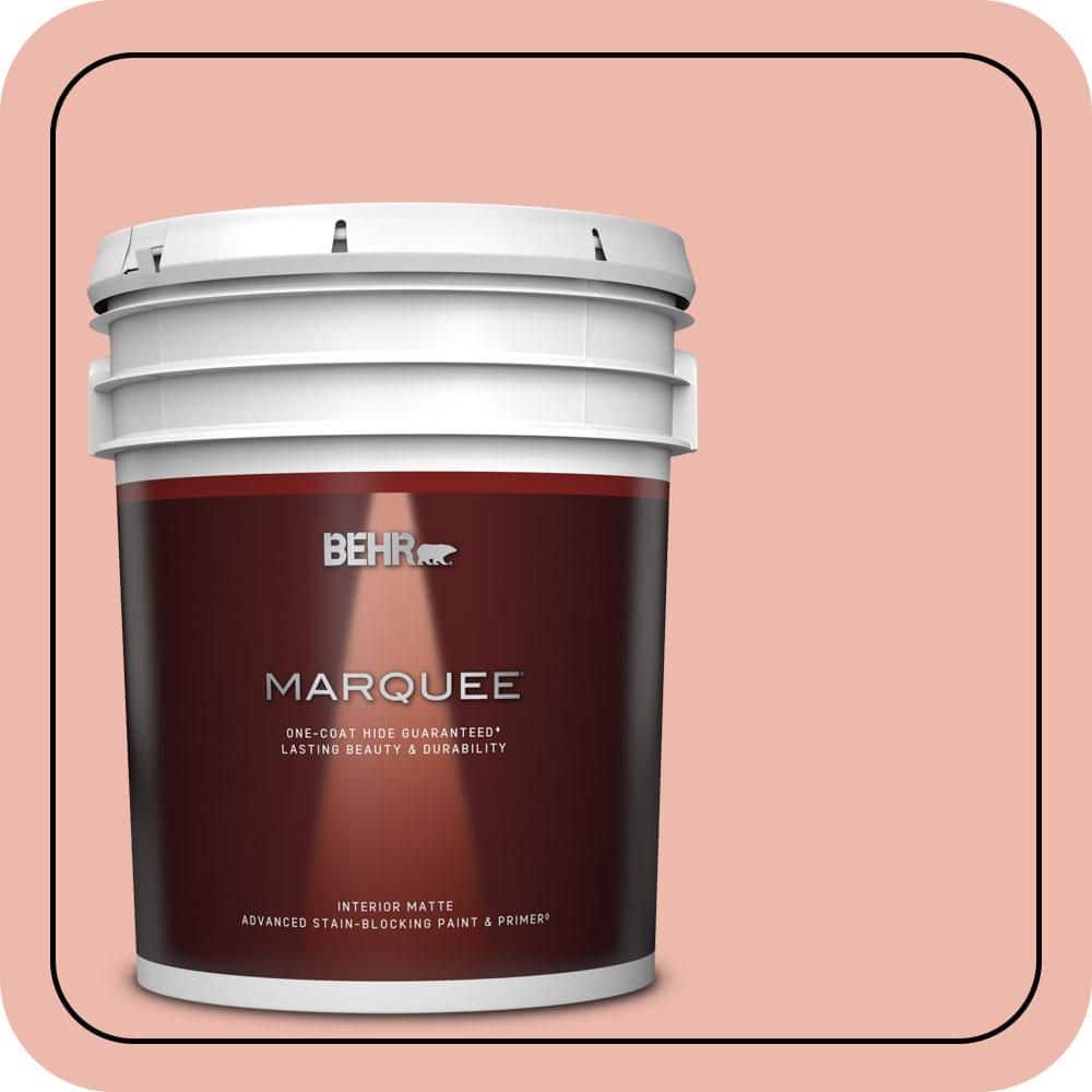 5 gal. #M170-3 Carnation Coral Matte Interior Paint & Primer product image for price tracking