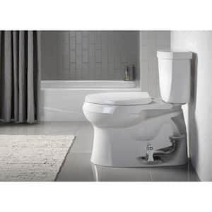 Reveal Quiet-Close Elongated Closed Front Toilet Seat with Grip-Tight Bumpers in Ice Grey
