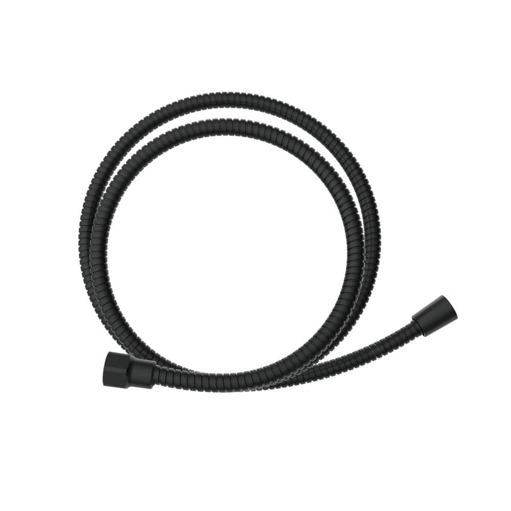 Matte Black Adjustable Handheld Shower Head with Stainless Steel Hose