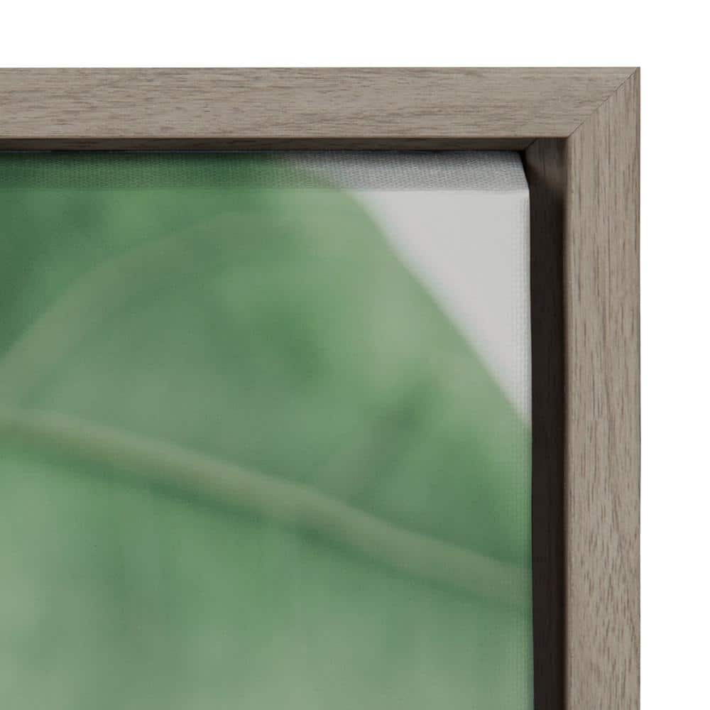 Sylvie Green Leaf Study Framed Canvas Art