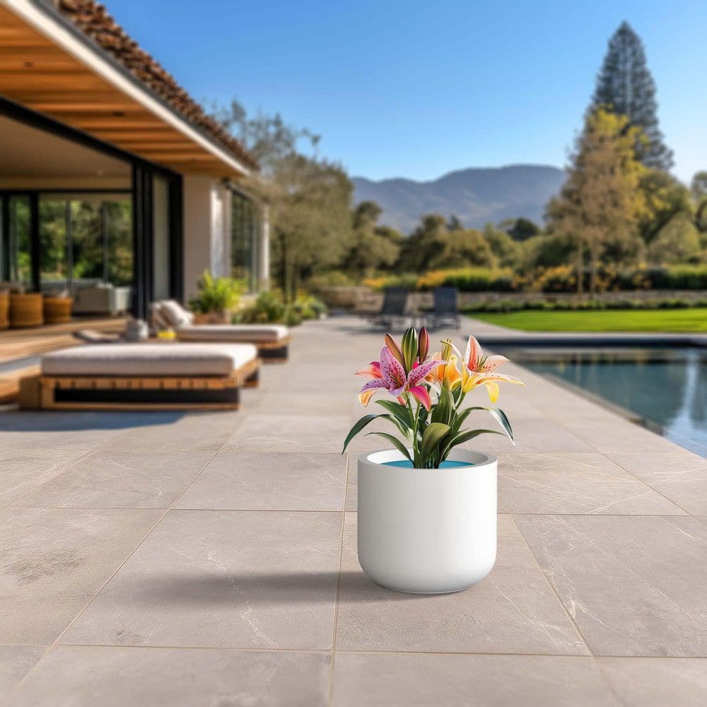 14 in. Medium Crisp White (Enhanced Interior) Concrete Round Planter / Pot with Drainage Holes price history on PriceWatchPro
