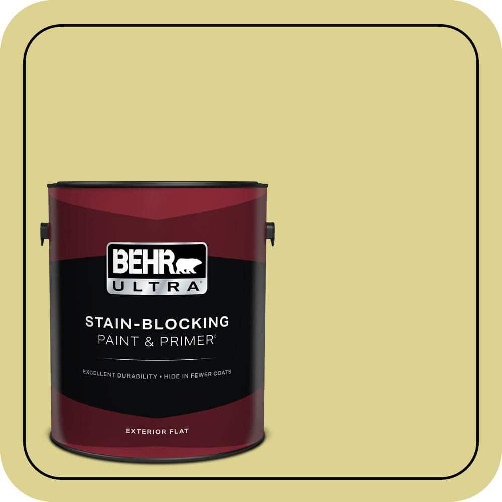 1 gal. #T17-16 Thats My Lime Flat Exterior Paint & Primer price history on PriceWatchPro