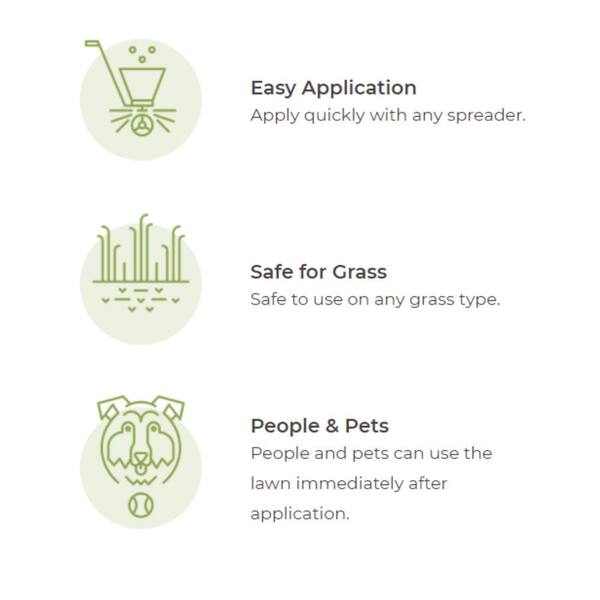 Is Gypsum Safe For Dogs