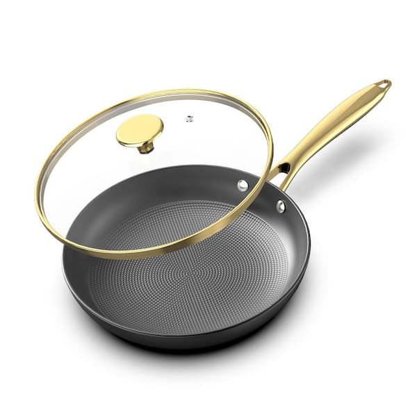 Adrinfly 10 in. Cast Iron Long Lasting Nonstick Frying Pan with Tempered Glass Lid and Stainless Steel Stay Cool Riveted Handle