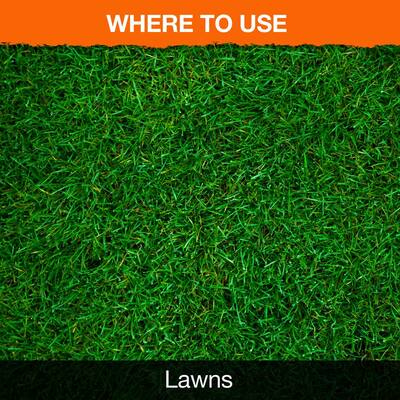 Weed B Gon 1 Gal Weed Killer For Lawns Ready To Use2 With Comfort Wand