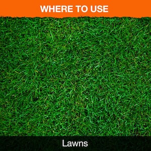 Roundup for Lawns 4 Ready-to-Use Wand 1 Gal. (Southern)