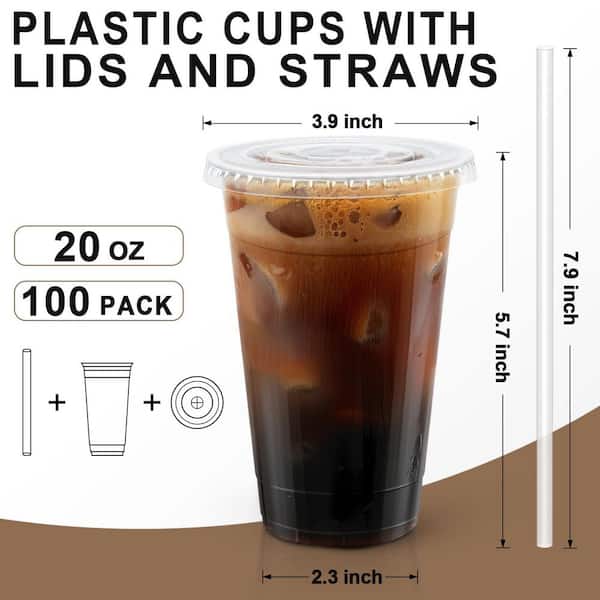 20 oz. Disposable Plastic Cups with Lids and Straws for To-Go Cold Drinks, Smoothies and Slushie, Clear (100-Pack)